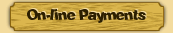 On-line Payments